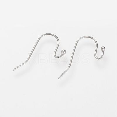 Tarnish Resistant 304 Stainless Steel Earring Hooks STAS-S066-09-1