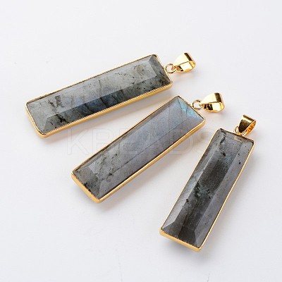 Faceted Rectangle Natural Labradorite Pendants G-M294-08-1