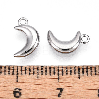 304 Stainless Steel Charms STAS-N109-138P-1