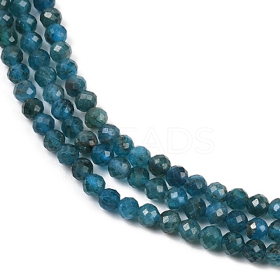 Natural Apatite Beads Strands X-G-E411-36-3mm-02-1