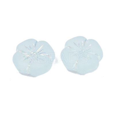 Frosted Transparent Acrylic Beads LS-OACR-P029-19B-06-1
