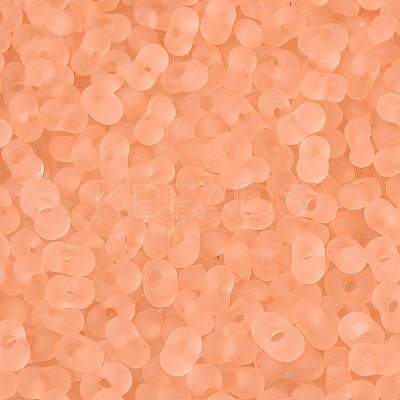 FGB Frosted Transparent Glass Seed Beads SEED-N013-06A-04-1