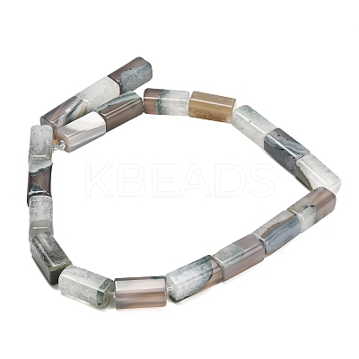 Natural Agate Beads Strands GG-L001-H01-03K-1