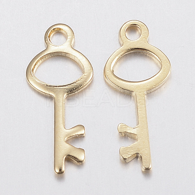 304 Stainless Steel Charms STAS-H436-62-1