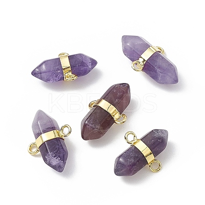 Natural Amethyst Double Terminal Pointed Connector Charms G-P491-11G-04-1