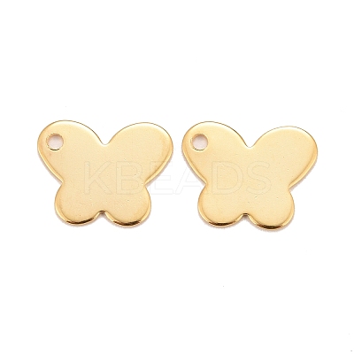 201 Stainless Steel Charms LS-STAS-K217-79A-G-1