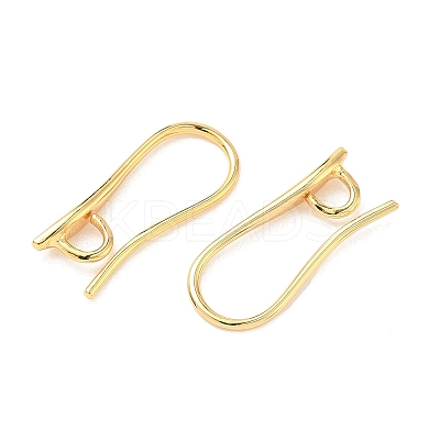 SHEGRACE Brass Earring Hooks XGR0003G-42G-1