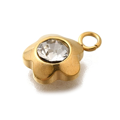 304 Stainless Steel Pave Cubic Zirconia Charms LS-STAS-D310-07G-02-1