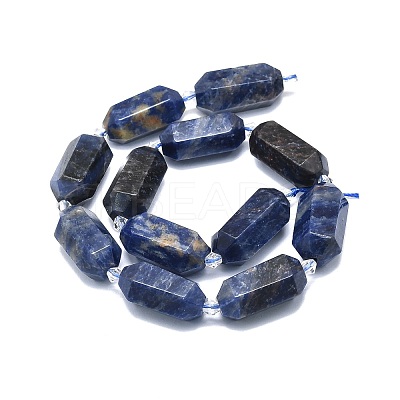 Natural Sodalite Beads Strands G-F715-060-1
