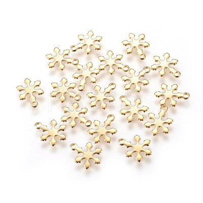 304 Stainless Steel Charms STAS-E447-10G-1
