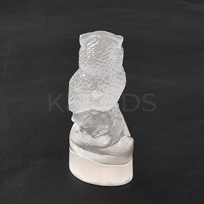 Natural Selenite Figurines DJEW-Q006-01G-1