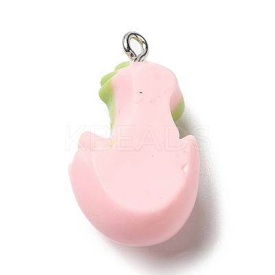 Cute Opaque Resin Pendants RESI-L038-08P-03-1