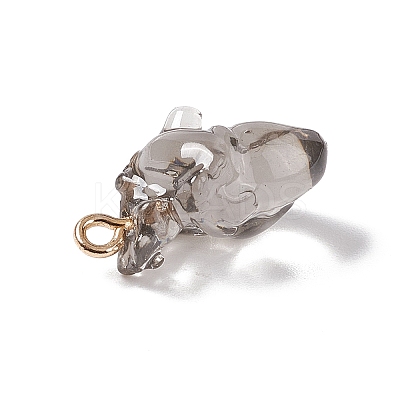 Transparent Resin Pendants RESI-E028-01G-02-1