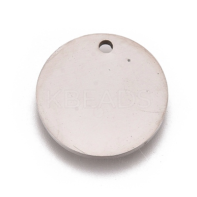Non-Tarnish 304 Stainless Steel Charms LS-STAS-L247-006A-P-1