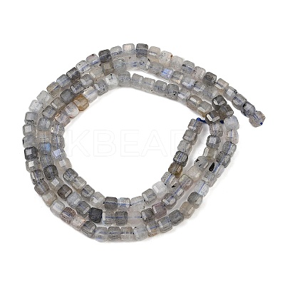 Natural Labradorite Beads Strands G-RM2025-C34-B-1