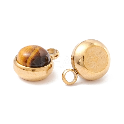 Natural Mixed Stone Charms G-K325-01G-1