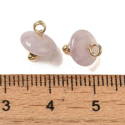 Natural Lepidolite Rondelle Charms with Rack Plating Brass Loops G-G110-05B-09-1