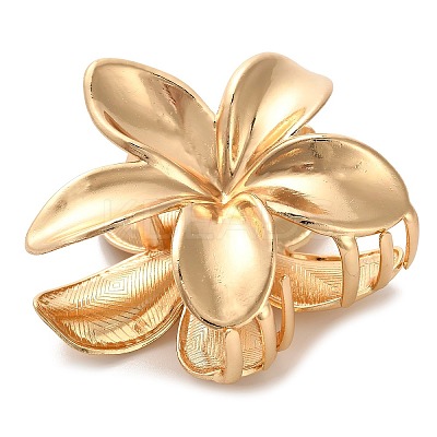 Alloy Claw Hair Clips LS-AJEW-A061-06C-G-1