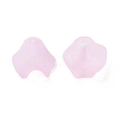 Transparent Acrylic Beads LS-X-MACR-S373-106-D05-1