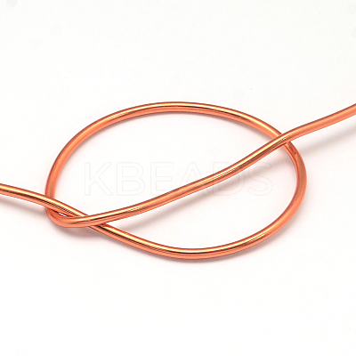 Round Anodized Aluminum Wire AW-S001-3.0mm-12-1