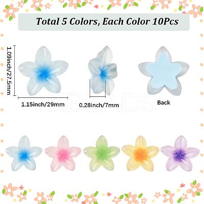 50Pcs 5 Colors Transparent Resin Cabochons RESI-SC0006-24-1