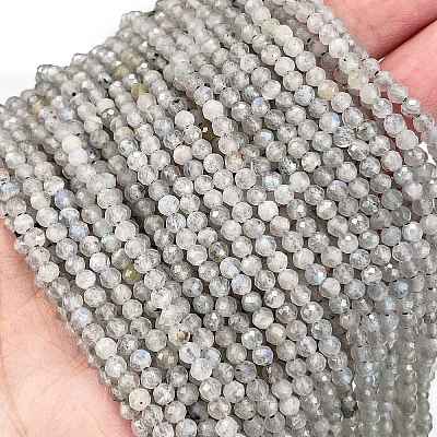 Natural Labradorite Beads Strands LS-G-I341-11A-1