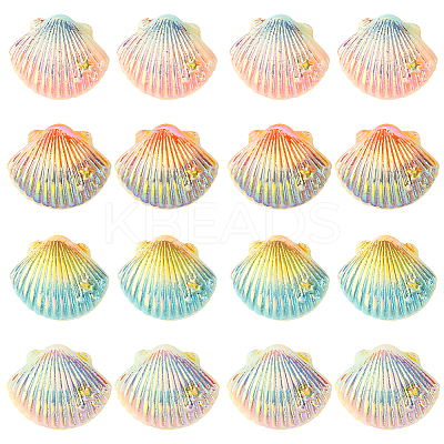 40Pcs 4 Colors Opaque Resin Cabochons CRES-SC0003-11-1