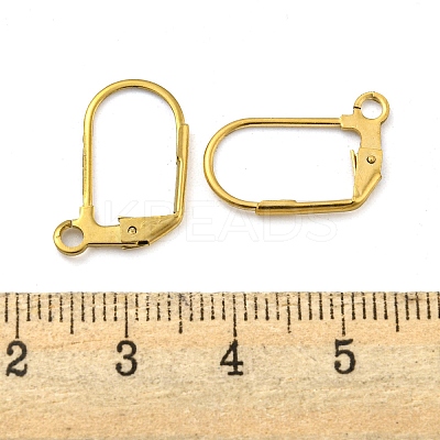 Ion Plating(IP) 304 Stainless Steel Leverback Earring Findings X-STAS-P360-02B-G-1