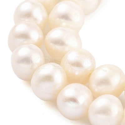 Natural Cultured Freshwater Pearl Beads Strands PEAR-C003-13F-1