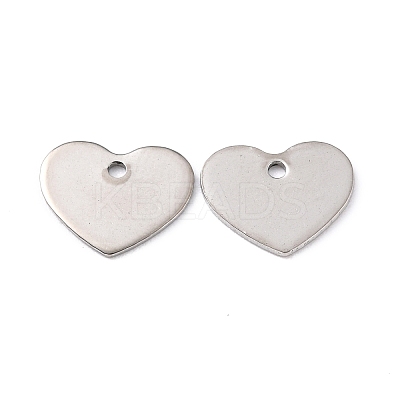 Tarnish Resistant 201 Stainless Steel Charms LS-STAS-K217-76-1