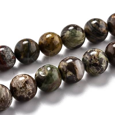 Round Natural Ocean Agate/Ocean Jasper Beads Strands G-O199-02C-1