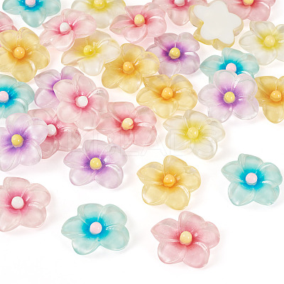 30Pcs 6 Colors Transparent Resin Cabochons RESI-TA0004-45-1
