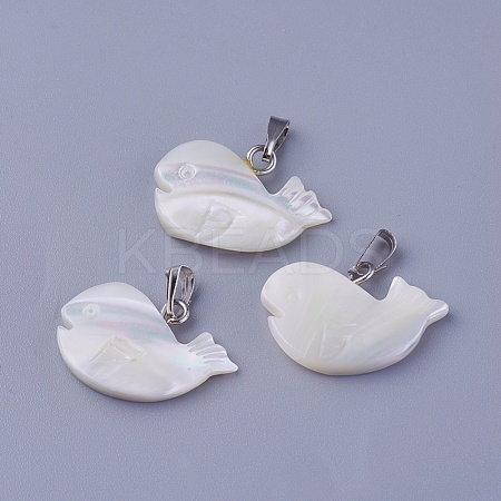 Shell Pendants SSHEL-E571-02P-1