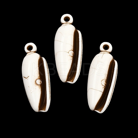 Spray Painted Opaque Acrylic Pendants ACRP-F003-03E-1