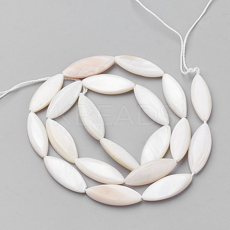 Natural Shell Beads Strands PBB220Y-1-1