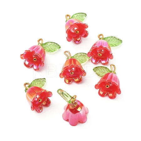 Opaque Resin Pendants LS-CRES-CJC0009-05G-08-1