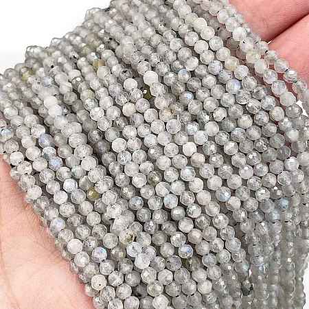 Natural Labradorite Beads Strands LS-G-I341-11A-1