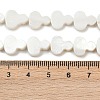 Natural Freshwater Shell Beads Strands SHEL-K010-02B-4