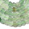 Natural Green Aventurine Beads Strands G-A272-A01-34-5