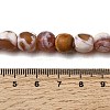 Dyed & Heated Natural Fire Crackle Agate Beads Strands G-NH0067-B02-4