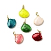 Brass Enamel Shell Shape Charms KK-I378-12G-C-1