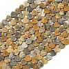 Natural Crazy Agate Beads Strands G-A272-A01-09-2