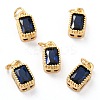 Real 18K Gold Plated Brass Inlaid Cubic Zirconia Charms LS-ZIRC-L100-075G-05-1