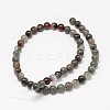 Natural Bloodstone Beads Strands G-P025-21-8mm-2