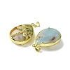 Natural Flower Amazonite Pendants G-G900-01G-29-2