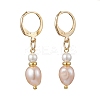 Oval Brass Natural Freshwater Pearl Leverback Earrings EJEW-JE06815-3