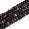 Natural Biotite Beads Strands G-T140-69A-4