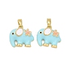 Brass Enamel Pendants KK-T001-04G-C-1