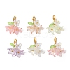 6Pcs Flower Butterfly Acrylic Pendant Decoration HJEW-JM02942-1