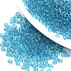 6/0 Transparent Glass Seed Beads SEED-S040-09A-07-1
